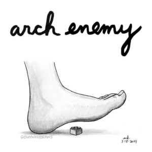 Anatomy