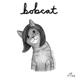 Animals, Badpuns, aveda, bobcat, bobhaircut, cat, cats, caturday, hair, haircut, hairdo, hairstyle, happycaturday, inktober, lowbrowpopsurrealism, minneapolisartist, salon, strangeart, weirdoart