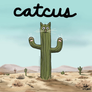 Badpuns, cactus, cat, cats, caturday, desertlife